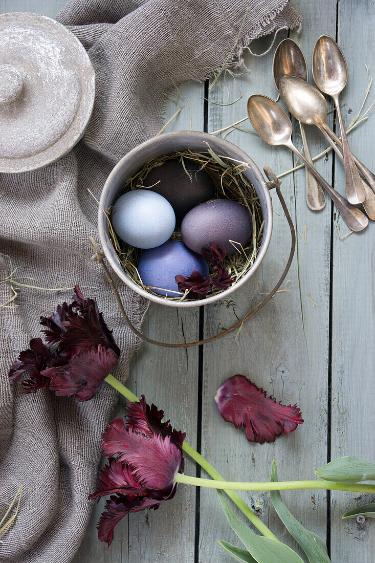 Arrangement mit Silberbesteck, Tulpen (Tulipa) und Ostereiern, gefärbt mit Rotkohl und Rote Bete