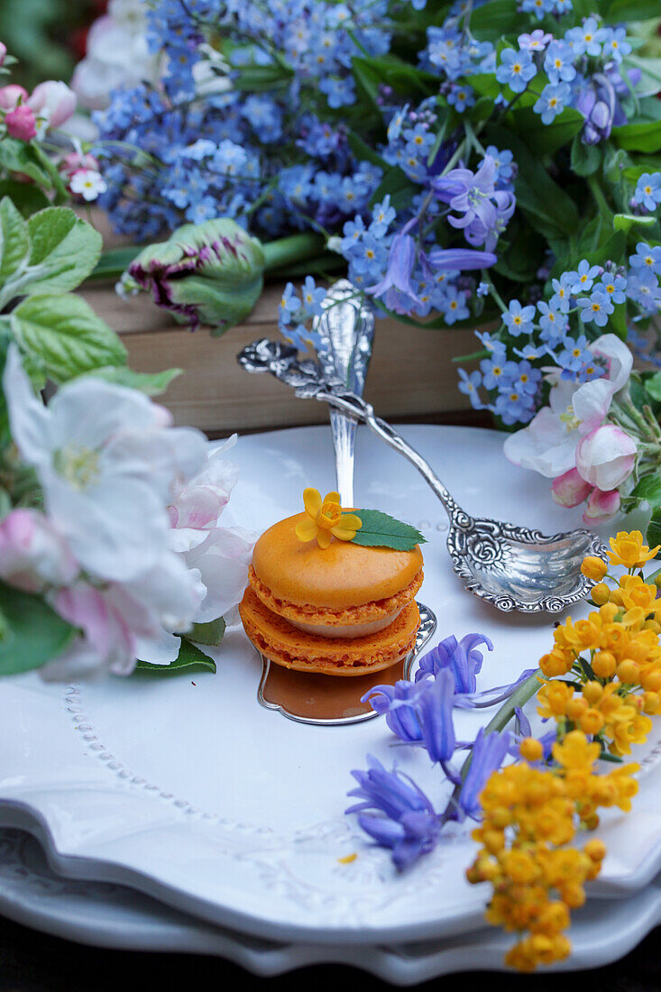 Macaron auf Silberbesteck, umgeben von Blüten von Vergissmeinnicht (Myosotis) und Glockenblumen  (Campanula)