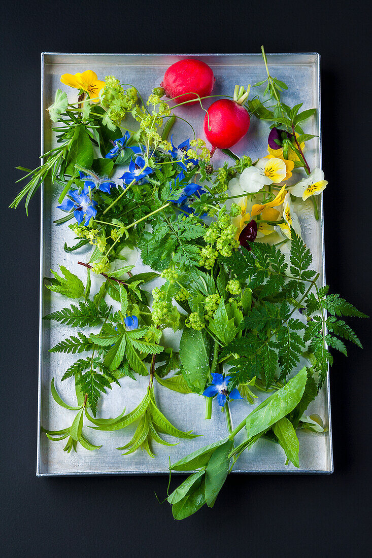 Radishes, wild herbs and edible flowers