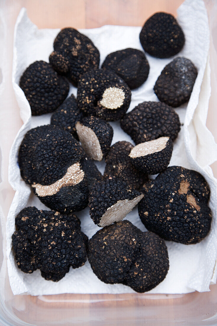 Perigord truffle (black truffle)