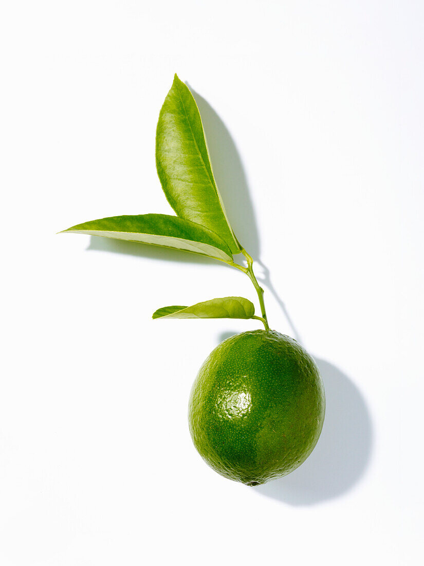 A lime with leaves