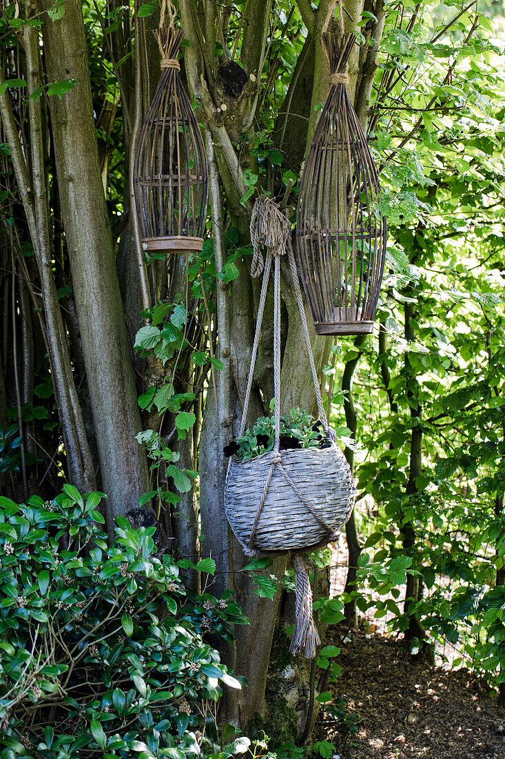 Hängende Weidenkorb-Pflanzgefäße an einem Baum im Garten