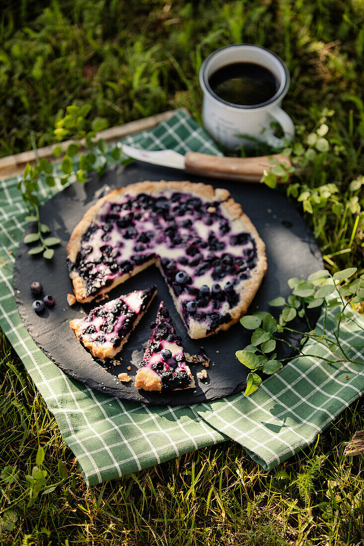 Heidelbeerkuchen