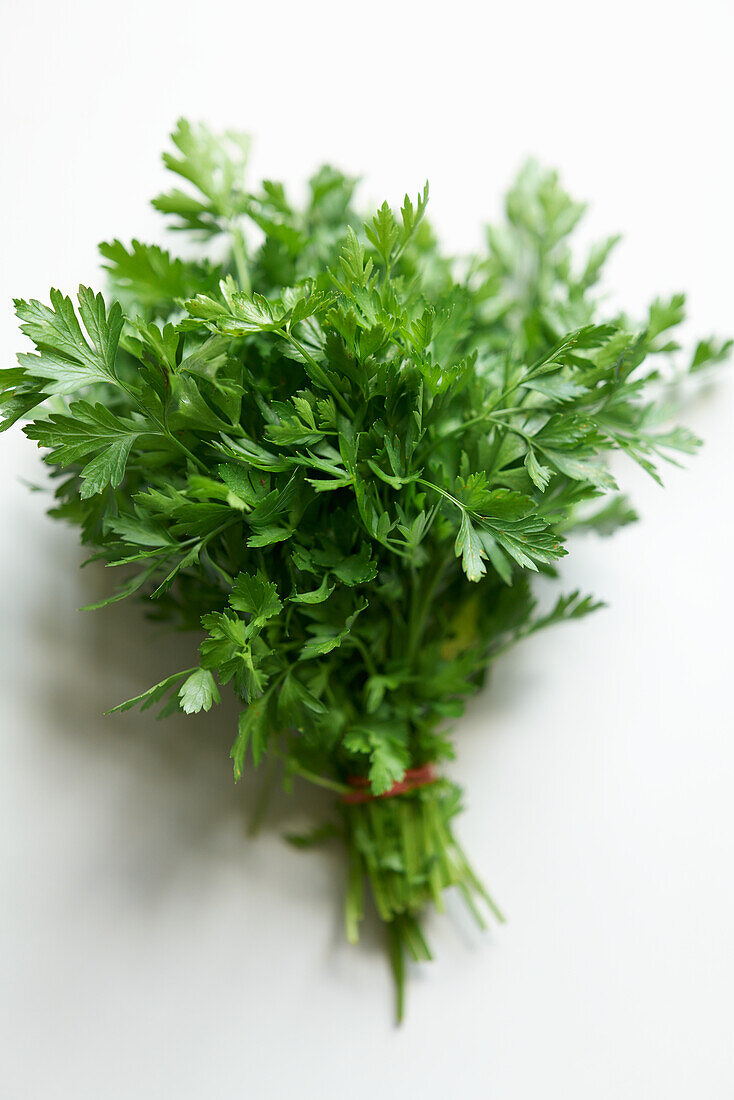 Bouquet of Lovage Tied with a String