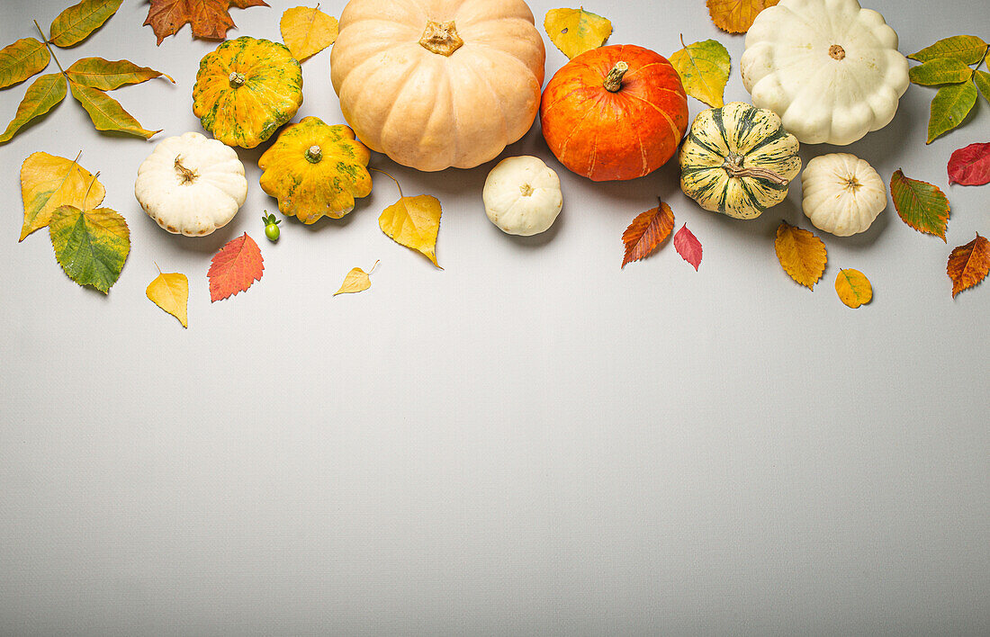 Various pumpkins and colorful autumn leaves for Thanksgiving