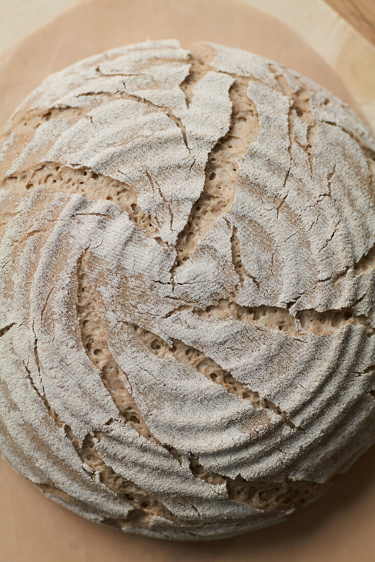 Rye bread after proofing
