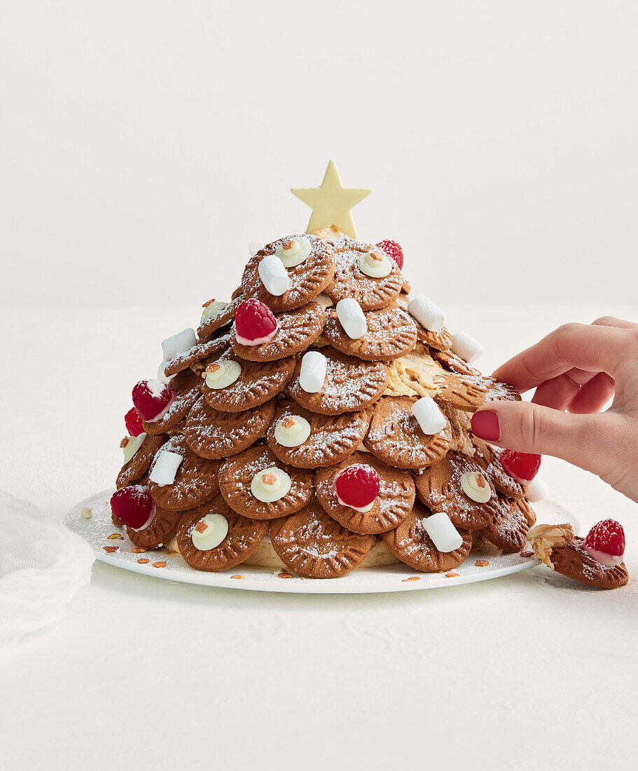 White chocolate caramel cake with Christmas tree cookies