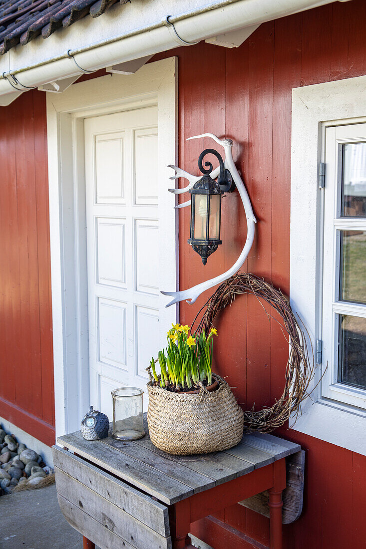 Entrance area with lantern, daffodil basket and wreath on red wooden wall