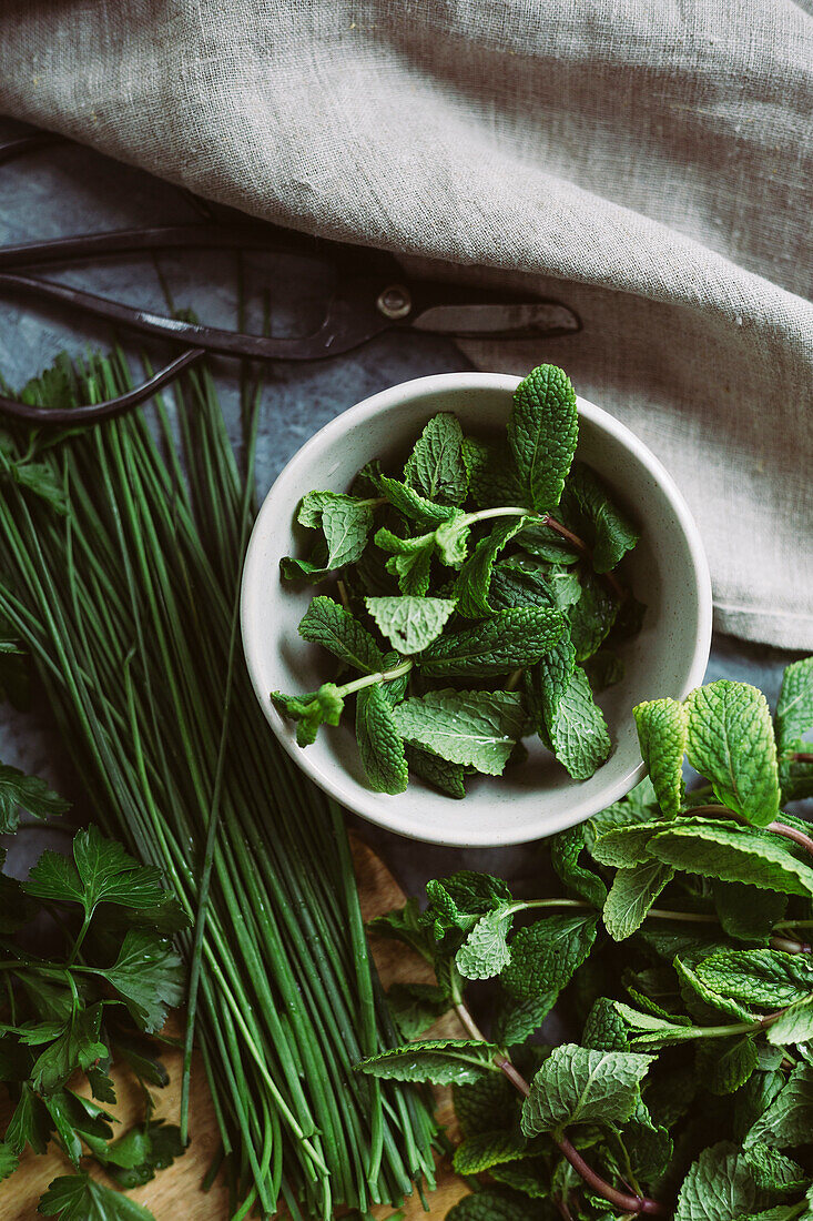 Fresh Herb, Still Life