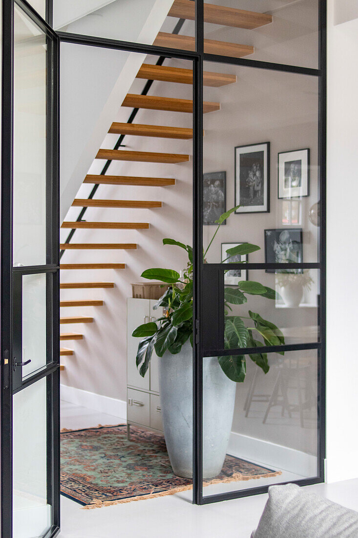 Floating wooden staircase behind industrial glass door and large plant pot