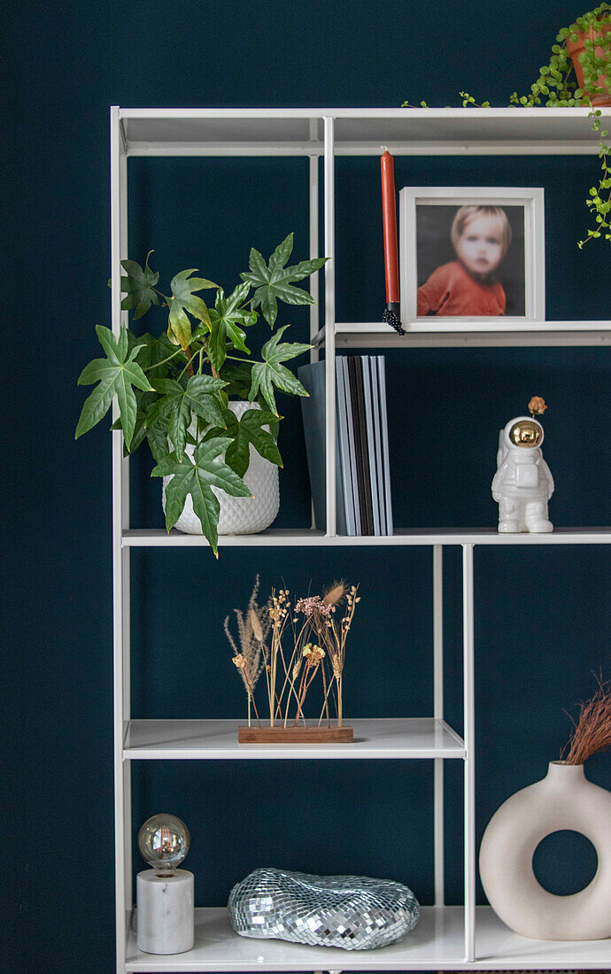 White shelf in front of dark blue wall with plants and decorative objects