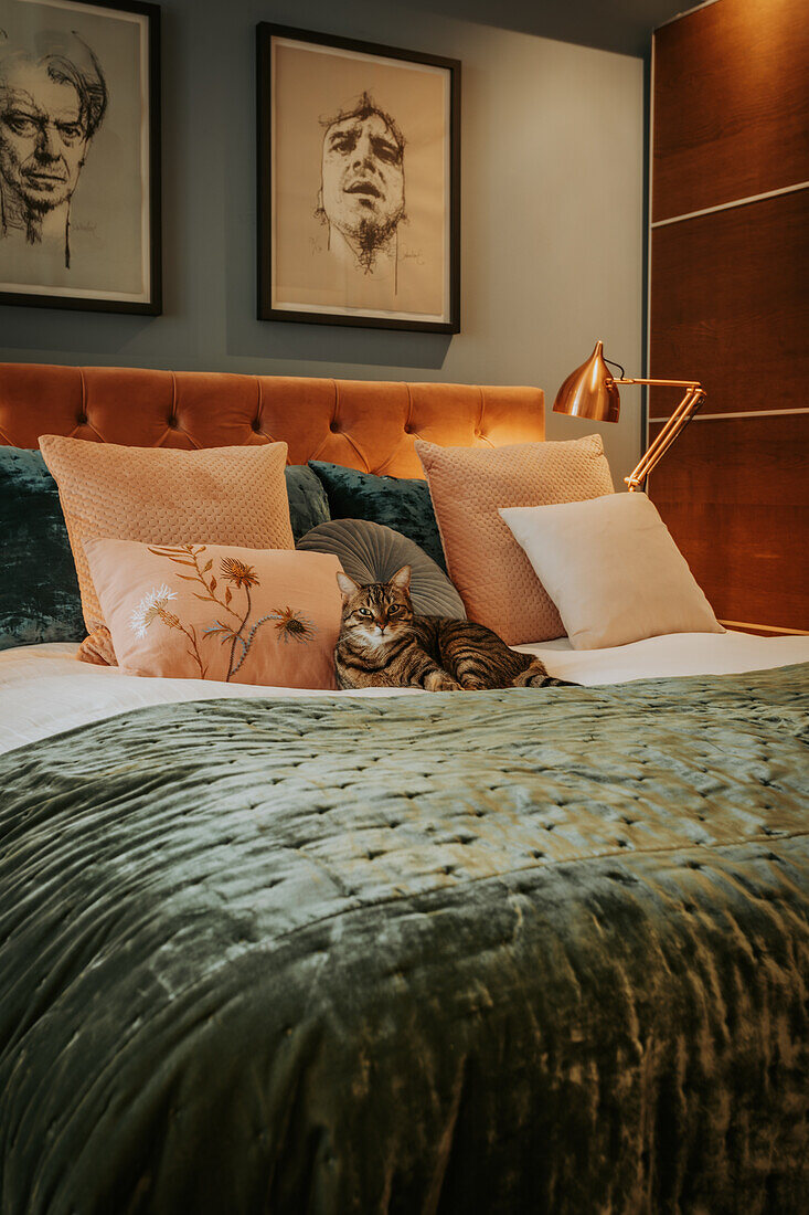 Katze sitzt auf samtiger Bettwäsche im Schlafzimmer mit Kunstwerken an der Wand