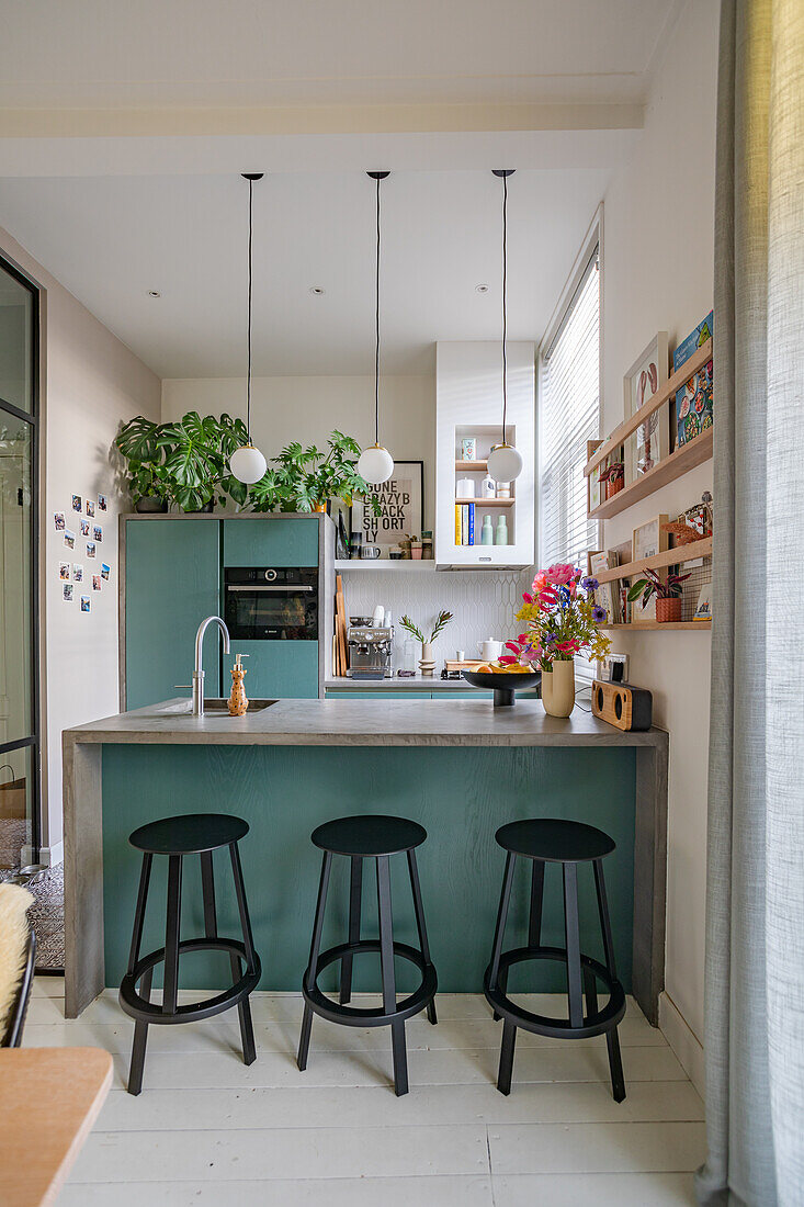 Kitchen with bar stools, plants and wall shelf