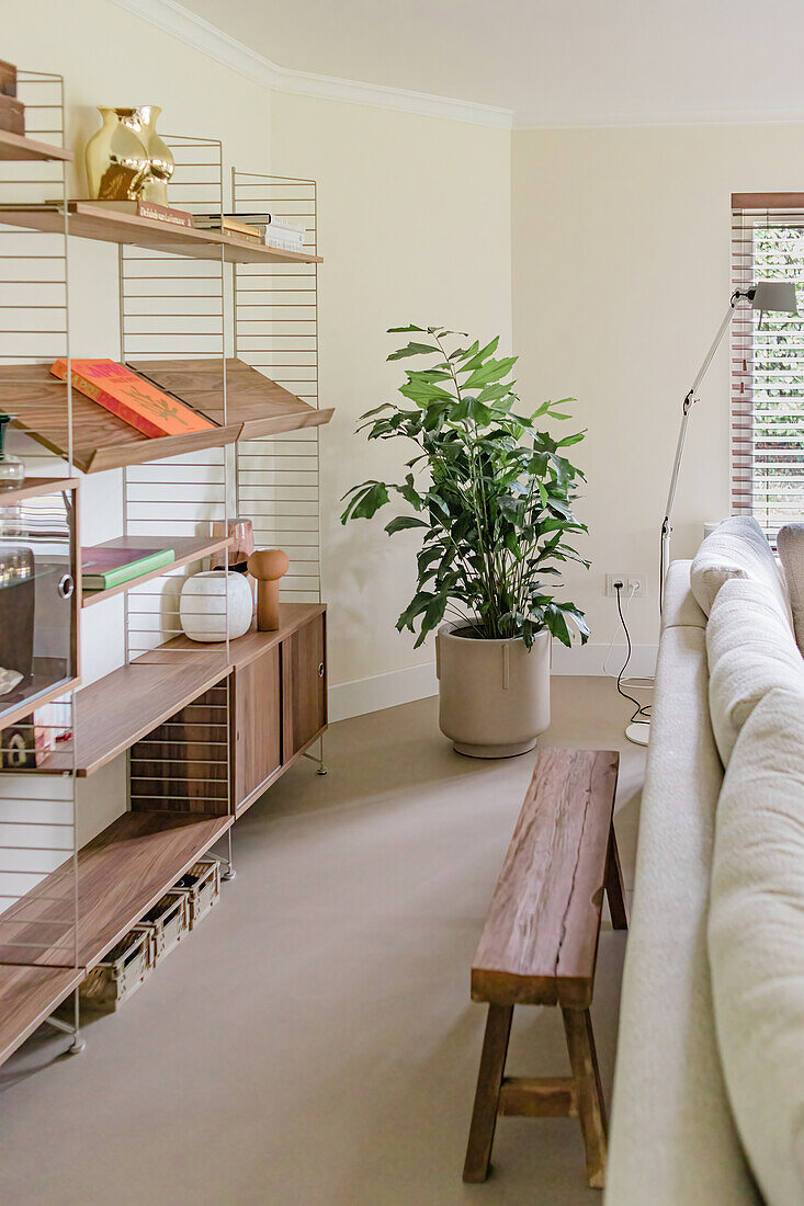 Modern living room with wall shelf and large houseplant