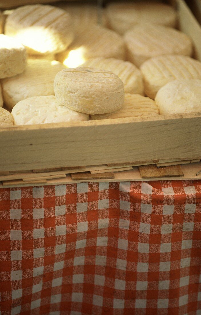 Ziegenkäse aus der Provence in Holzsteige auf einem Tisch