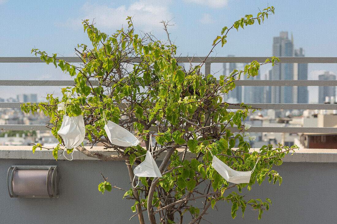 COVID-19 Gesichtsschutzmasken hängen an einem Baum auf dem Dach einer Stadt