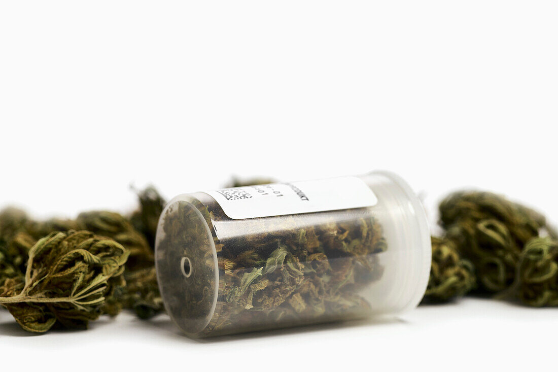 Stilleben Nahaufnahme von medizinischem Cannabis in verschreibungspflichtiger Flasche