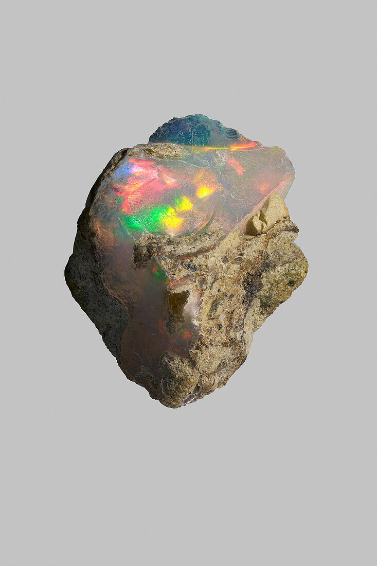 Nahaufnahme irisierender, vielfarbiger Welo-Opal auf grauem Hintergrund