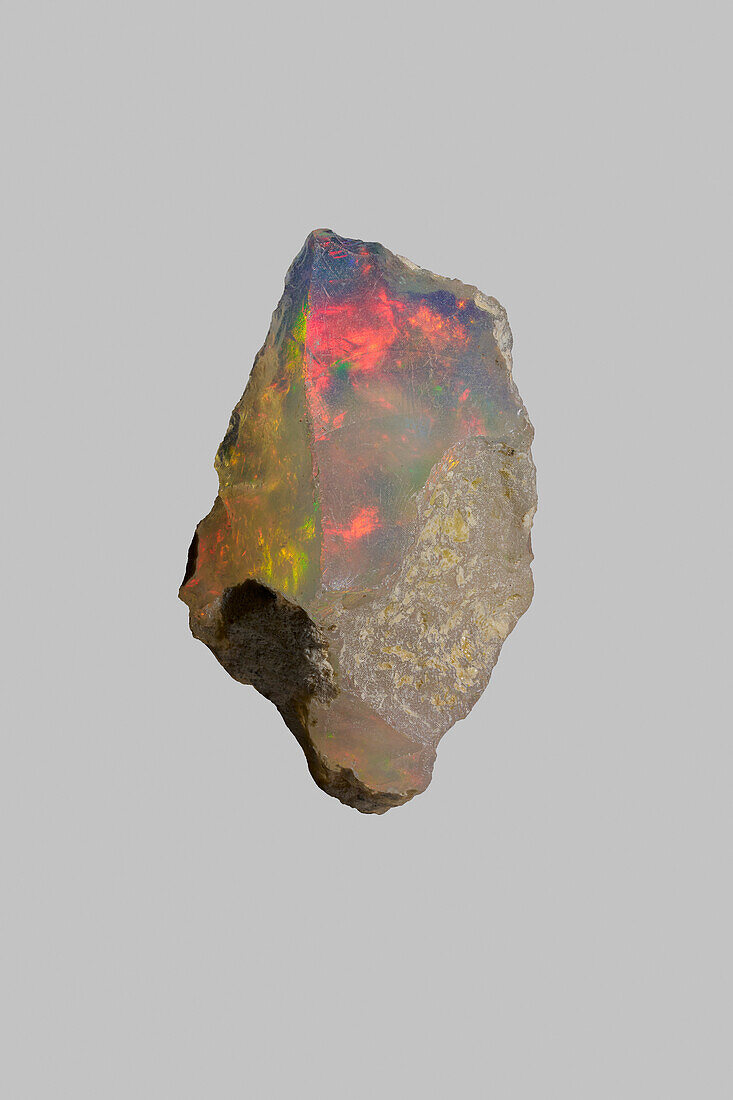 Close up iridescent, multicolored welo opal on gray background\n