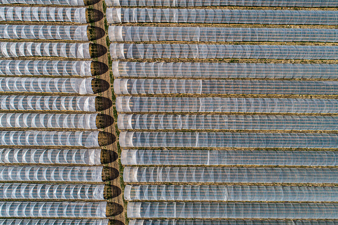 Aerial view rows of polyethylene tunnels in sunny rural field, Darmstadt, Germany\n