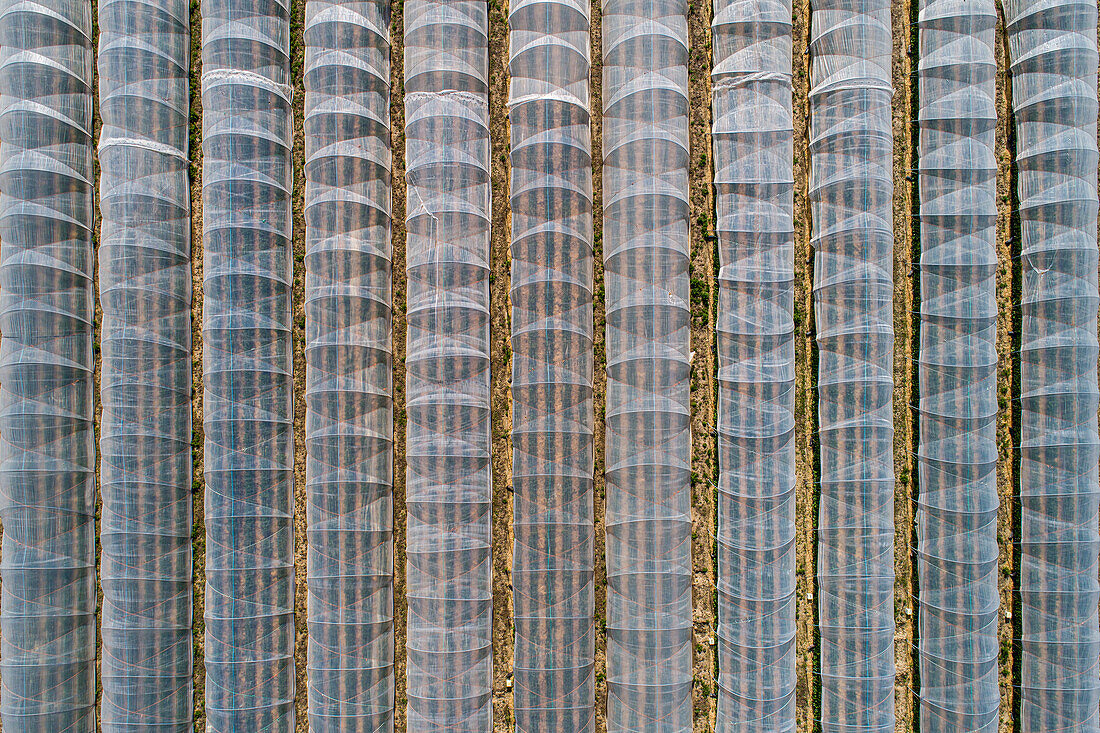 Luftaufnahme Reihen von Polyethylentunneln in einem ländlichen Gebiet, Darmstadt, Deutschland