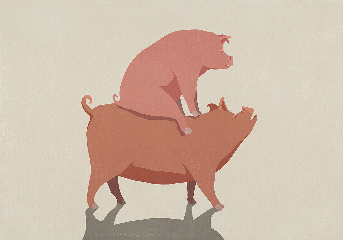 Pink pig freeloading, piggybacking\n