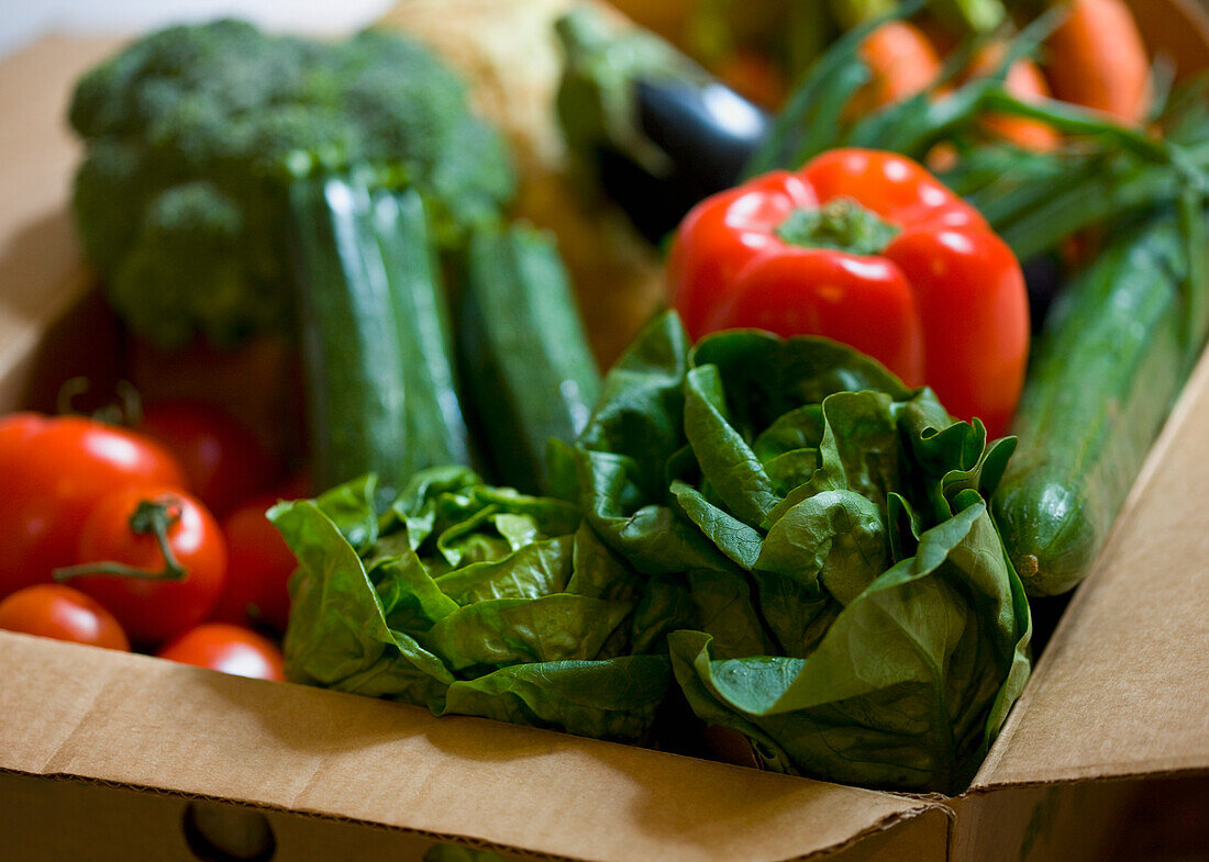 Close up of a box full of organic vegetables\n