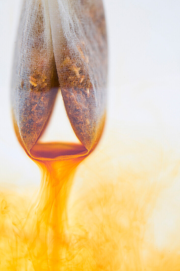 Close up of a wet bag of black tea\n