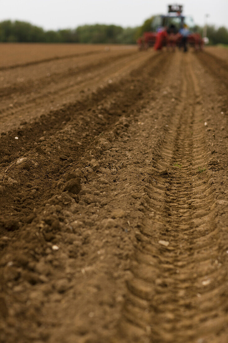 Landwirtschaftliches Feld mit Traktorreifenspuren