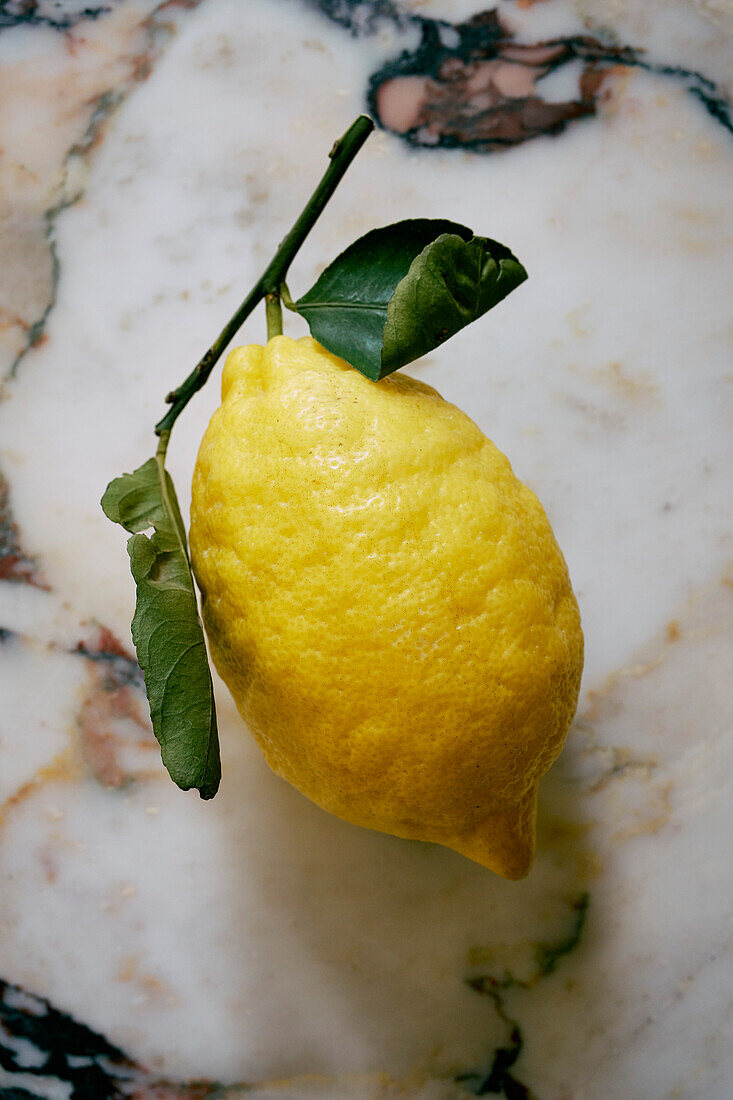 Still life vibrant yellow lemon on stem\n