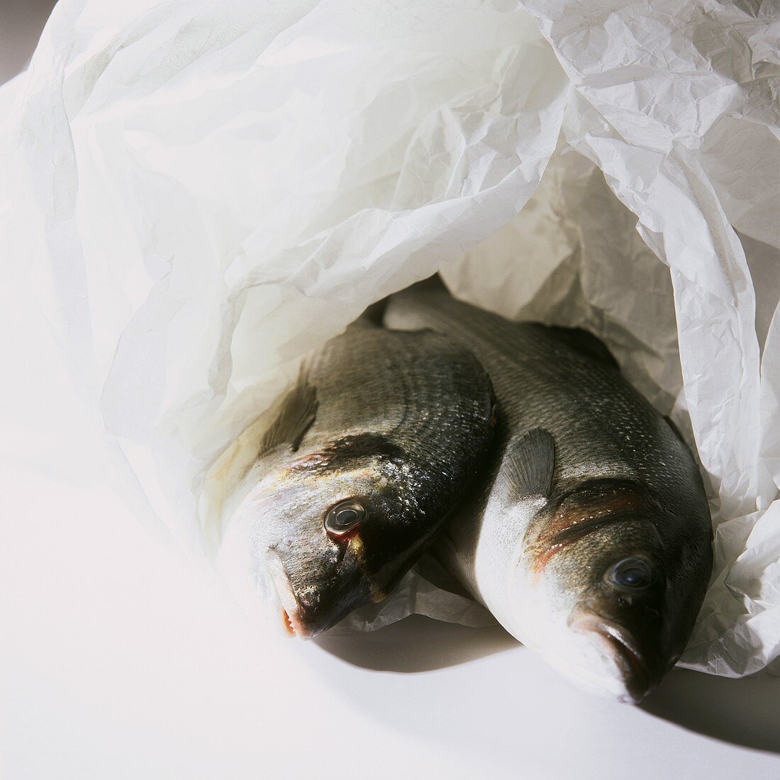 Two Trout Wrapped in Paper