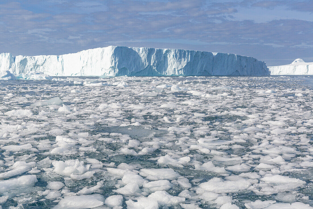 Riesige Eisberge vom nahegelegenen Ilulissat-Eisfjord sind in die Endmoräne bei Ilulissat gerammt, Westgrönland, Polargebiete