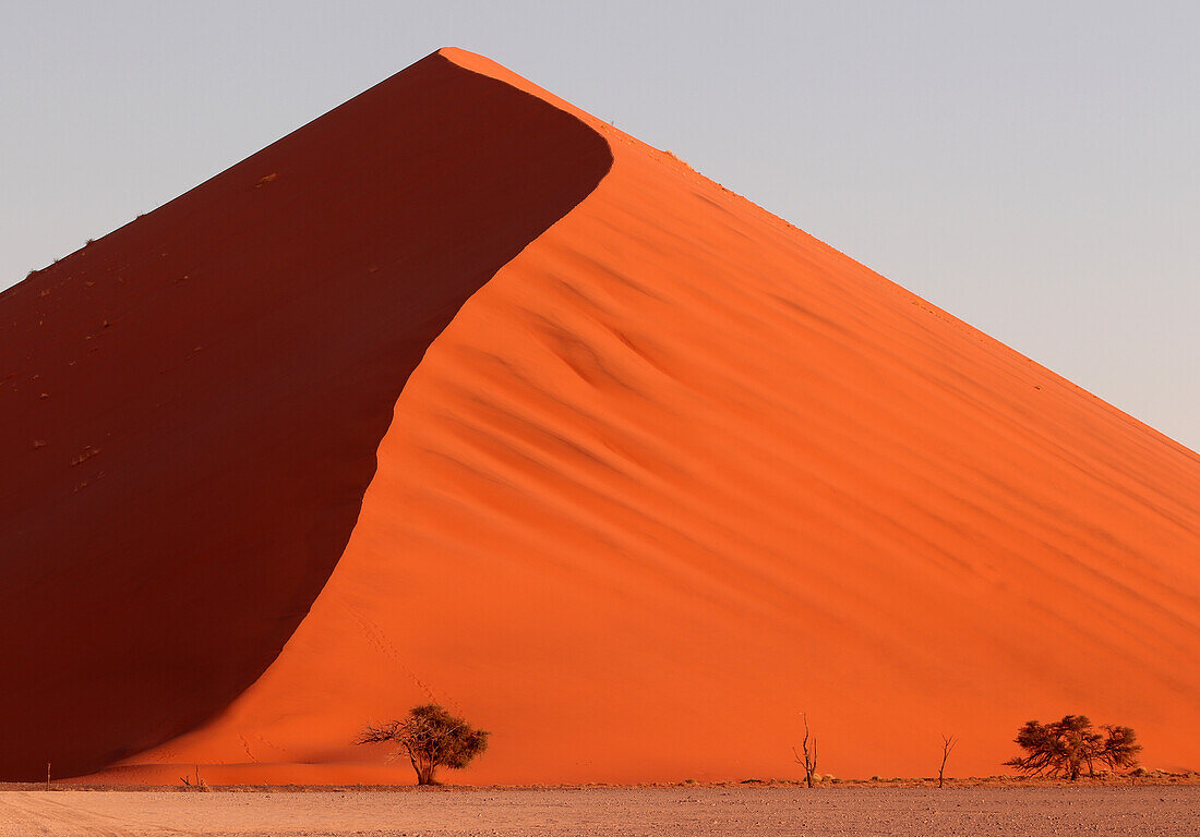 Dune 45, Sossusvlei, Namibia, Africa\n