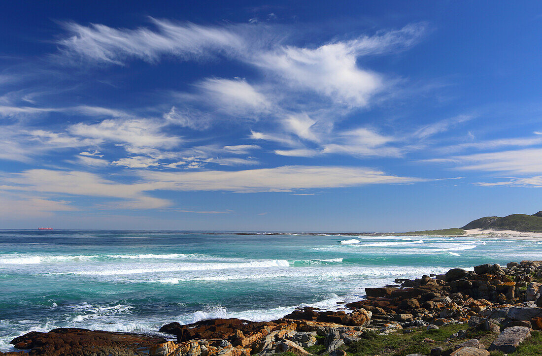 Near Cape of Good Hope, Cape Province, South Africa, Africa\n