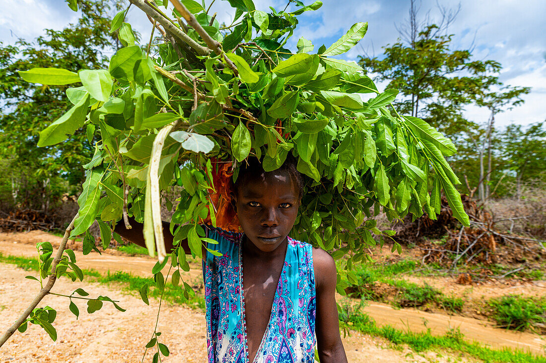 Girl carrying leaves back home, Northern Cameroon, Africa\n