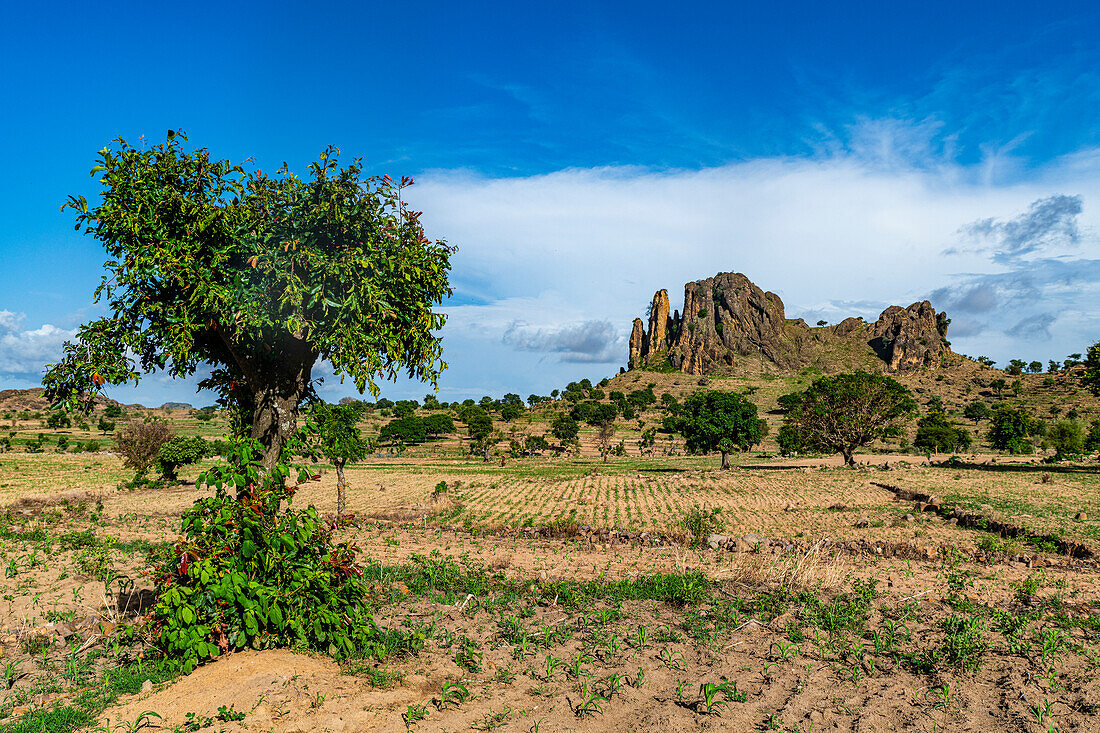 Felder und Mondlandschaft, Rhumsiki, Mandara-Gebirge, Provinz Far North, Kamerun, Afrika