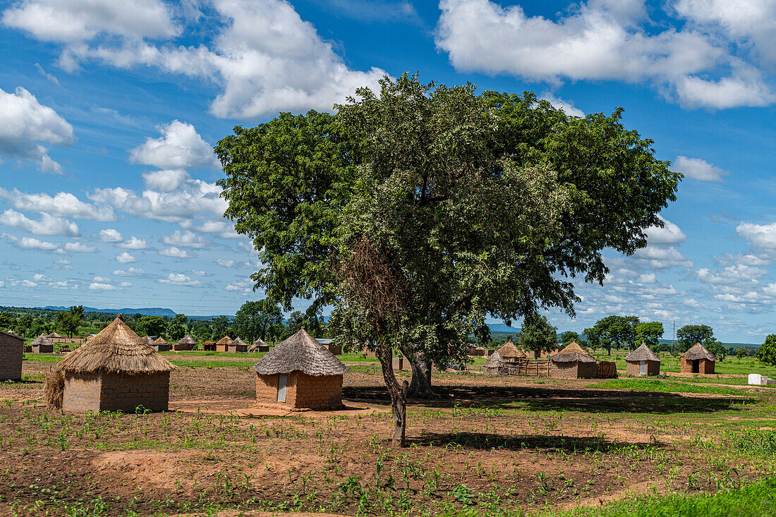 Traditionelle Lehmhütten, Nordkamerun, Afrika