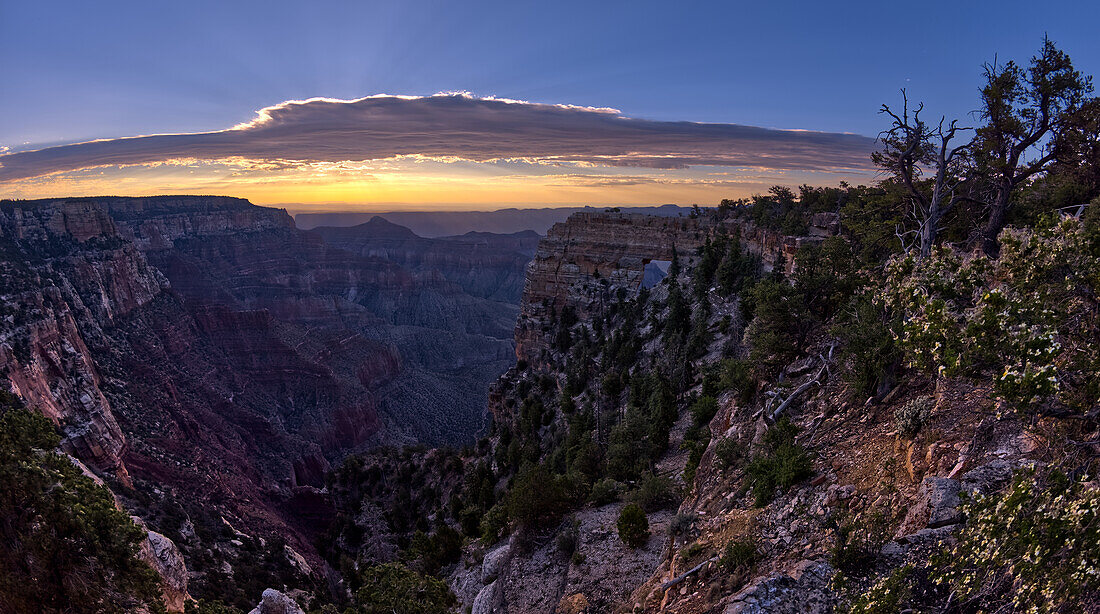 Engelsfenster am Cape Royal am North Rim des Grand Canyon bei Sonnenaufgang, Grand Canyon National Park, UNESCO Weltnaturerbe, Arizona, Vereinigte Staaten von Amerika, Nordamerika