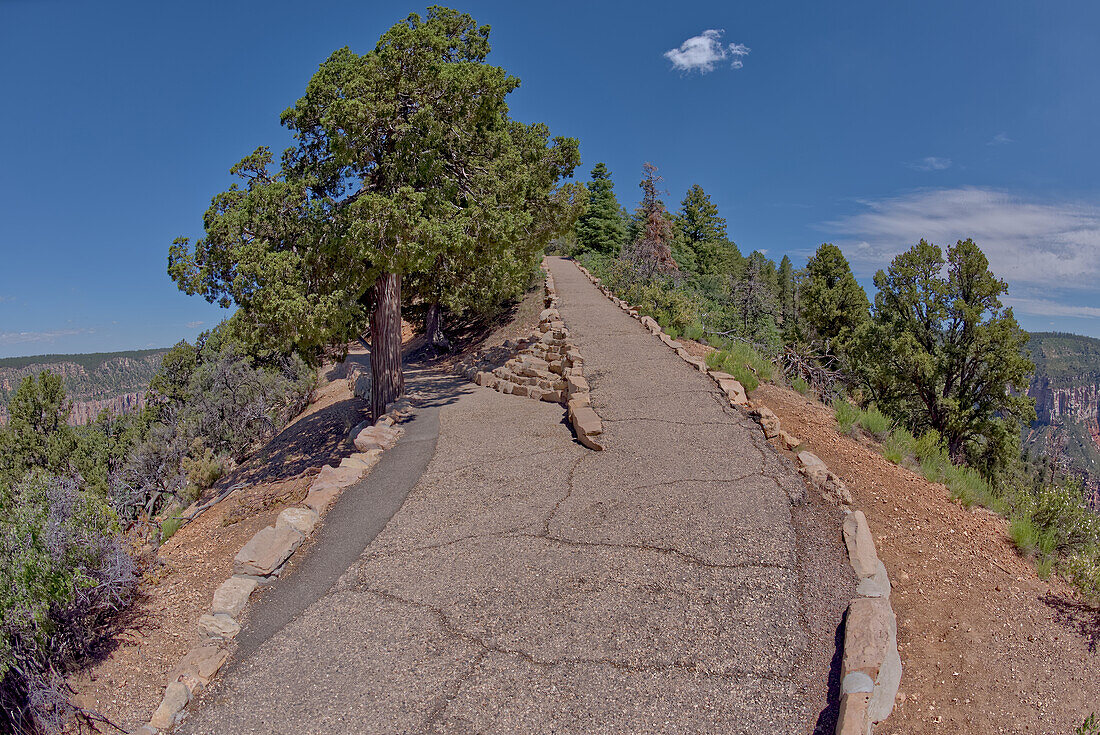 Die Kreuzung, an der der Transept Trail auf den Bright Angel Point Trail trifft, am North Rim des Grand Canyon, Grand Canyon National Park, UNESCO Weltnaturerbe, Arizona, Vereinigte Staaten von Amerika, Nordamerika