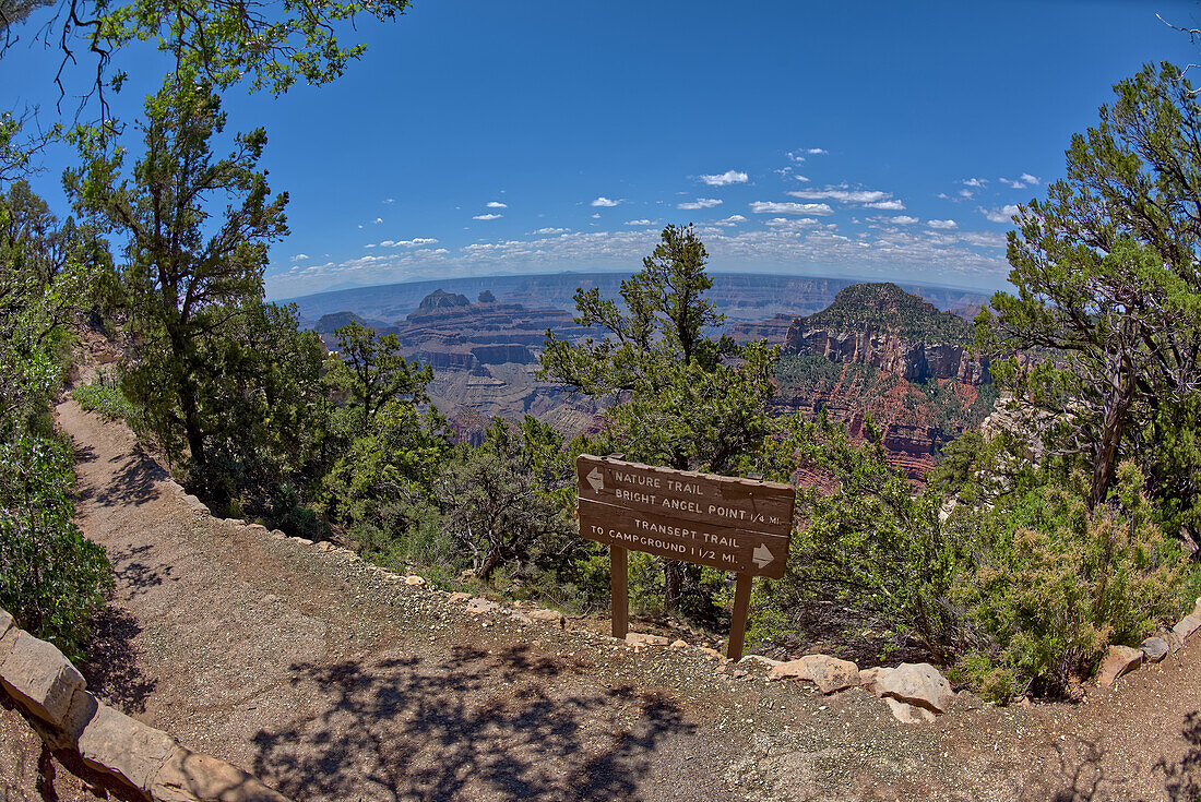 Das Schild des Transept Trail an der Abzweigung vom Bright Angel Point Trail am North Rim des Grand Canyon, Grand Canyon National Park, UNESCO-Weltnaturerbe, Arizona, Vereinigte Staaten von Amerika, Nordamerika