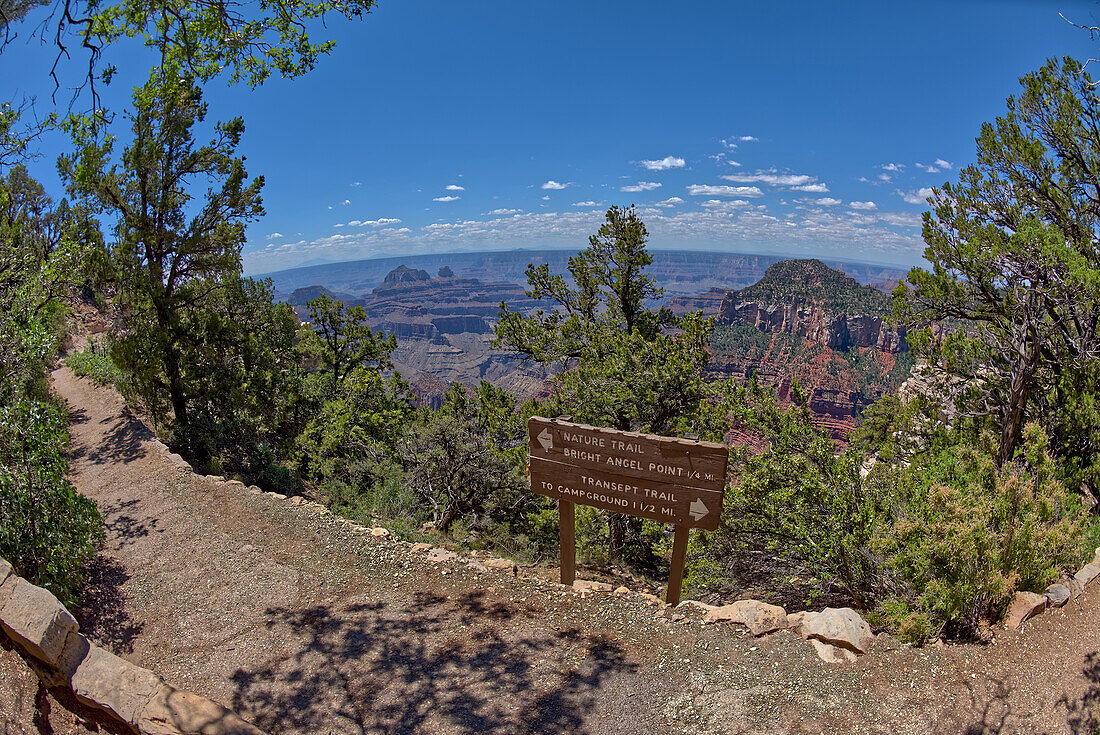 The Transept Trail sign where it branches off from the Bright Angel Point Trail on the North Rim of Grand Canyon, Grand Canyon National Park, UNESCO World Heritage Site, Arizona, United States of America, North America\n