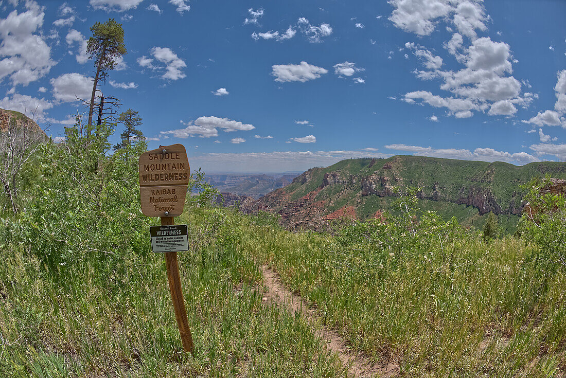 Schild, das die Grenze für die Saddle Mountain Wilderness markiert, die an den Grand Canyon National Park grenzt, Arizona, Vereinigte Staaten von Amerika, Nordamerika