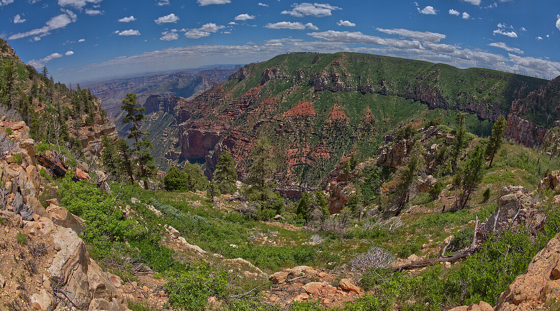 Point Imperial in Grand Canyon North Rim viewed from the summit of Saddle Mountain, Grand Canyon National Park, UNESCO World Heritage Site, Arizona, United States of America, North America\n
