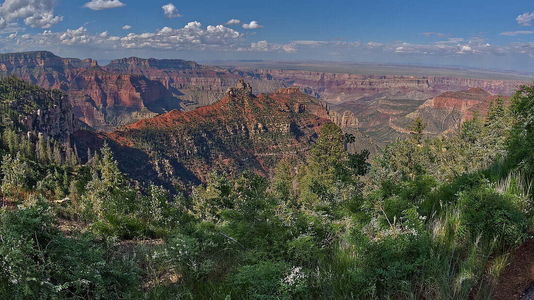 Blick auf den Brady Peak vom Vista Encantada Picknickplatz am Grand Canyon North Rim, Grand Canyon National Park, UNESCO Welterbe, Arizona, Vereinigte Staaten von Amerika, Nordamerika