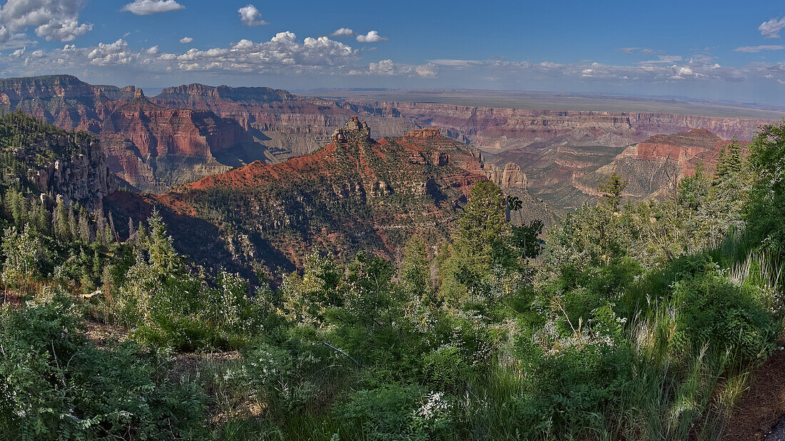 View of Brady Peak from the Vista Encantada Picnic area on Grand Canyon North Rim, Grand Canyon National Park, UNESCO World Heritage Site, Arizona, United States of America, North America\n
