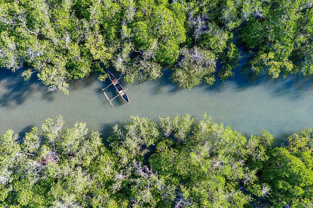 Bandrele Mangroven in der Lagune von Mayotte, bekannt als der Ort der Mama Shingos (Salzmama), wo Frauen Salz aus dem Wasser der Mangroven gewinnen, um ihren Lebensunterhalt zu verdienen, Mayotte, Indischer Ozean, Afrika