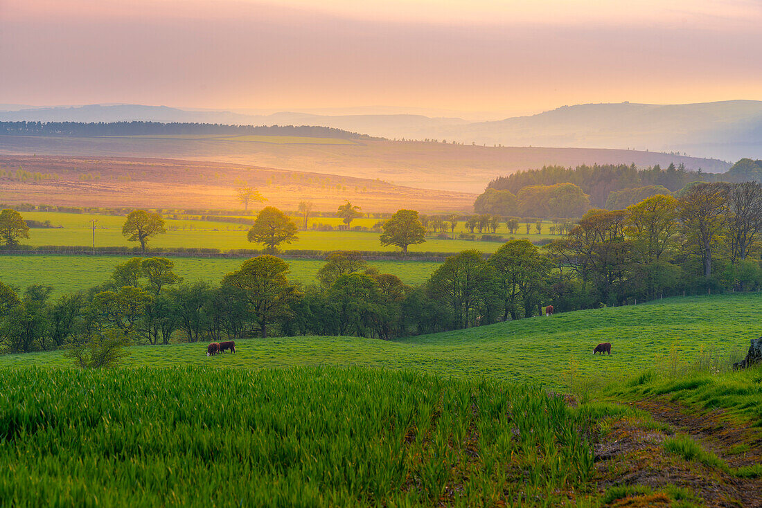 View of sunset from Wadshelf in the Peak District National Park, Derbyshire, England, United Kingdom, Europe\n