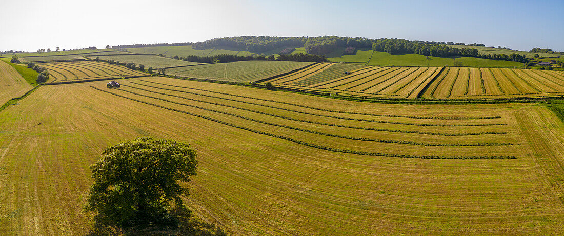 Aerial view of hay fields near Baslow village, Peak District National Park, Derbyshire, England, United Kingdom, Europe\n
