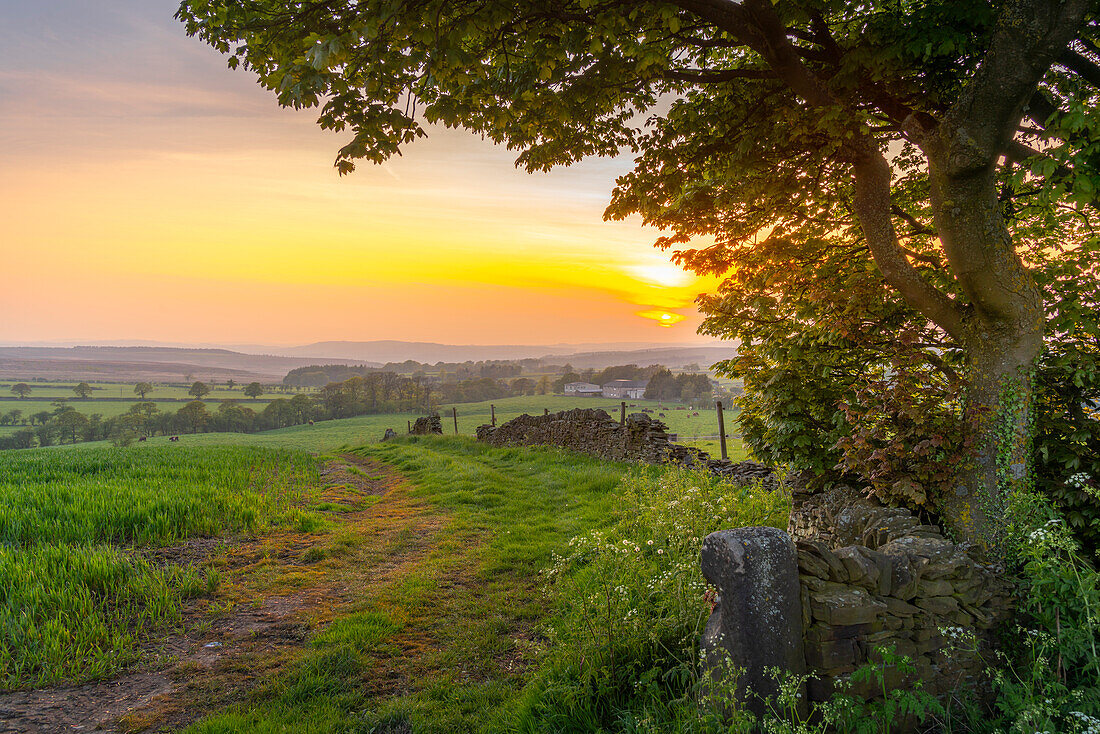 View of sunset from Wadshelf in the Peak District National Park, Derbyshire, England, United Kingdom, Europe\n
