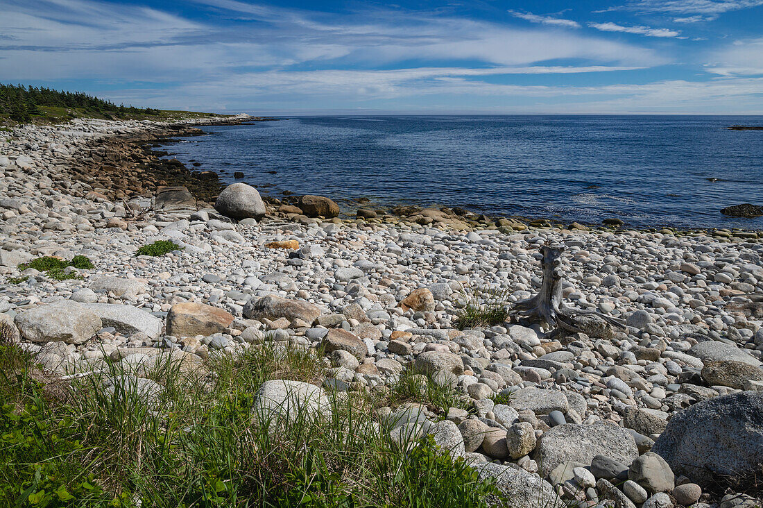 Rocky Coastline by the Atlantic Ocean, Dr. Bill Freedman Nature Preserve, Nature Conservancy of Canada, Nova Scotia, Canada, North America\n
